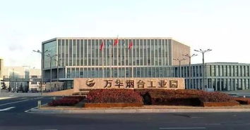 万华化学半年报 净利润下降高达46.49 mdi卖出白菜价
